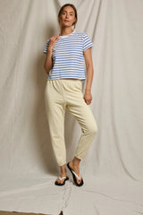 everett stripe